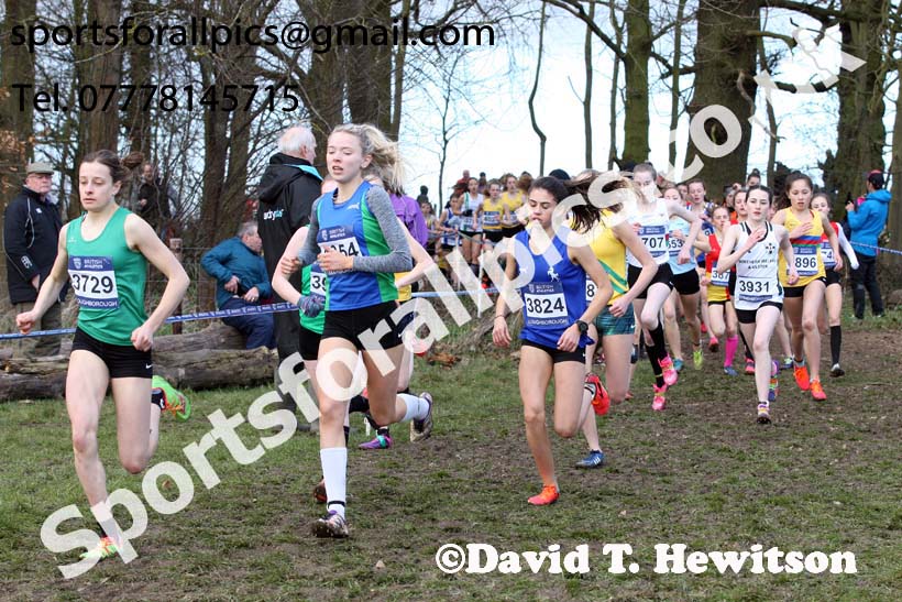 Girls under-15s 2019 British Athletics Inter Counties Cross Country, Prestwood Hall, Loughborough. Photo:  David T. Hewitson/Sports for All Pics